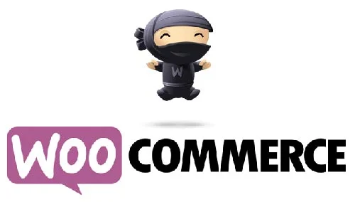 Woocommerce x Magento: Compare e escolha a melhor Plataforma para seu Negócio OnLine